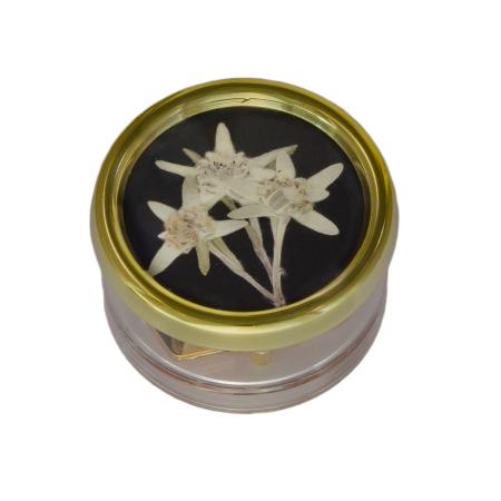 Nr.100-06-501 Trockenblumen Edelweiss Schwarz