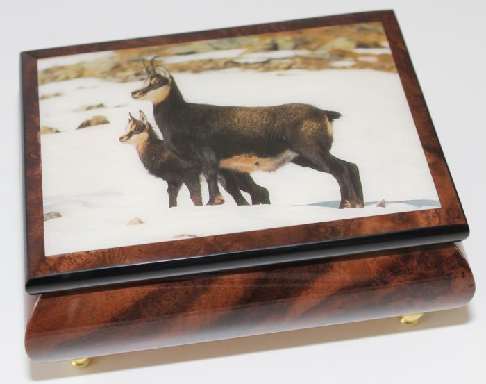 No.100-02-47 Chamois in snow