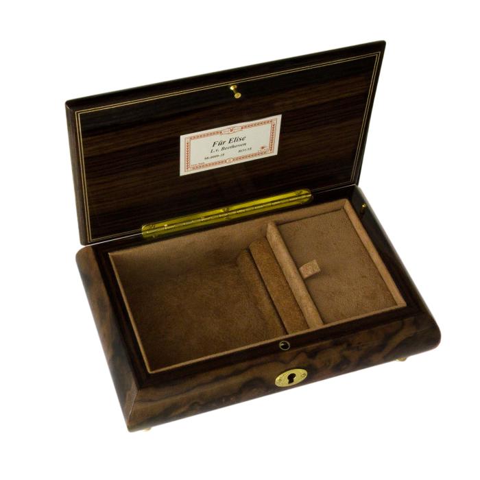 Nr.70CV25-36 Intarsien Instrumente Nussbaum